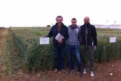 05 multiplicadores catalanes con valeroso