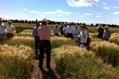 09 conxita explica el programa