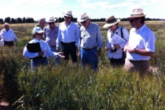 10 dolors explicando su programa