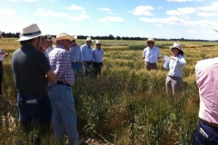 11 fanny explica su programa