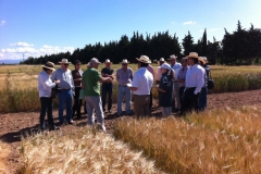 12 toni lopez explica genvce