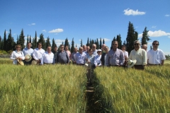 13 todos con variedad cordoba