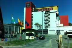 19 entrada en gallo