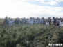 CIMMYT