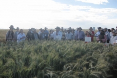 10. karim explica su programa