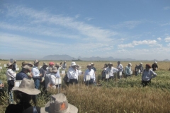 27. ravi singh explicando su programa