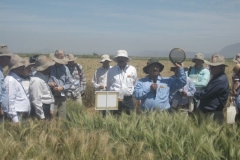 28 julio huerta explica seleccin frente roya