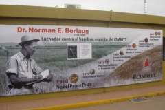 6. mural borlaug