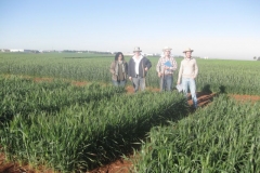 4. visita de tcnicos al ensayo