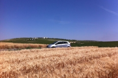 21. panormica jerezana