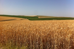 25. bondadoso en miranda