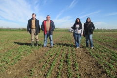 1- ensayos guisantes naciendo