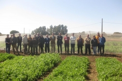 2. visita ensayo guisante