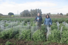 22. vivero guisantes rubiales