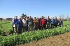 3. visita ensayos abstress