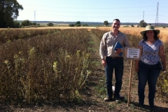 34. ensayo solibam maduro