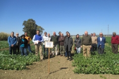 4. visita ensayos solibam