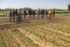 6. visita ensayos garbanzo