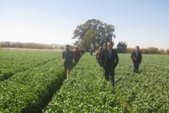 8. visita produccin prebase