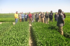 9. visita bandas promocin