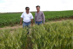 12. luis y antonio