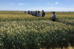 18. visita agricultores coesagro