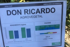 12. ficha don ricardo