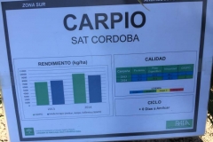 14. ficha carpio