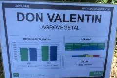 15. ficha don valentn
