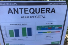 18. ficha antequera