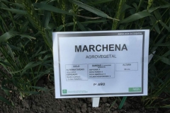 23. ficha marchena