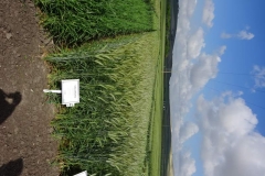 3. valeroso en jerez