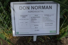 6. ficha de don norman