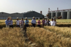 38. visita a ensayos san dionisio