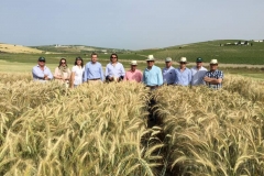 39. visita de consejeros a ensayos