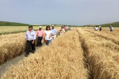 42. fin de la visita