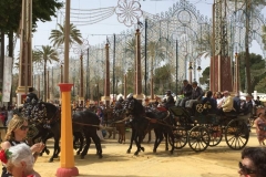 43. paseo por la feria