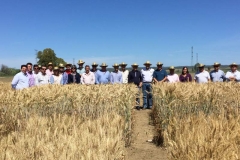 13. visita de responsables de cereales sevilla