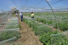 23. vivero csic-agrovegetal