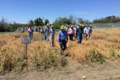 26. agricultores visitando abstress