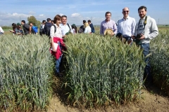 3. profesores de mejora vegetal de andaluca