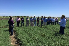 40. visita de cereales sevilla