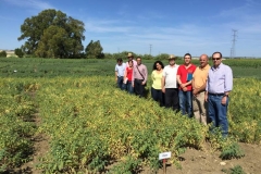 43. con ituci siembra febrero