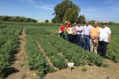 44. con ituci siembra marzo