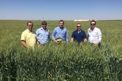 5-produccion-de-don-ricardo