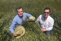 6-en-el-mar-de-espigas