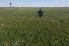 8-produccion-de-calero