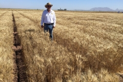 15-karim-en-riego-reducido