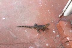 19-visitante-en-la-bodega