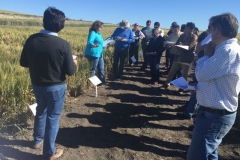 19-visita-ensayo-raea